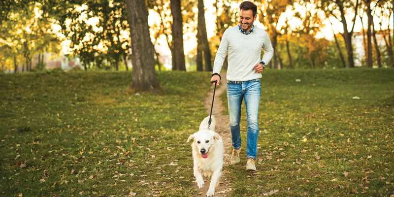 man walking dog